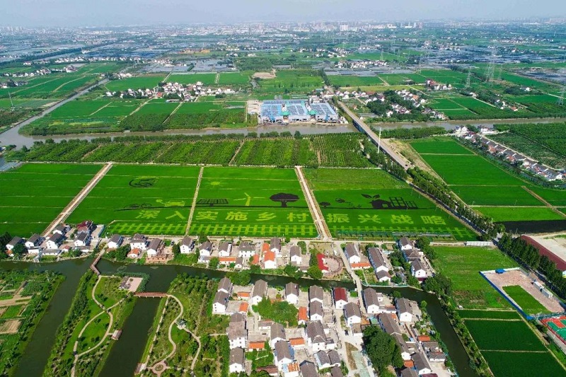 農村人居環(huán)境整治提升5年行動(dòng)將啟！2021中央一號文件正式發(fā)布