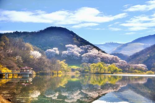 中國環(huán)保展 | 持續發(fā)力，全力以赴守護“蘇州藍”！